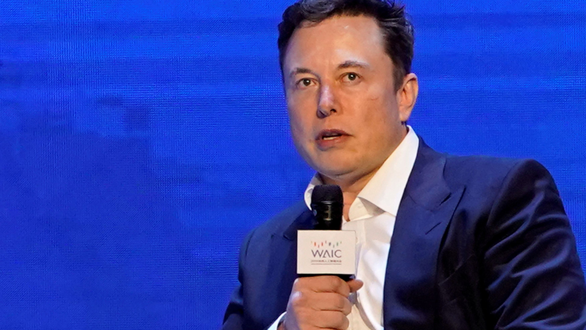 Immagine di La cura Musk per Twitter: 6500 licenziamenti in sei mesi