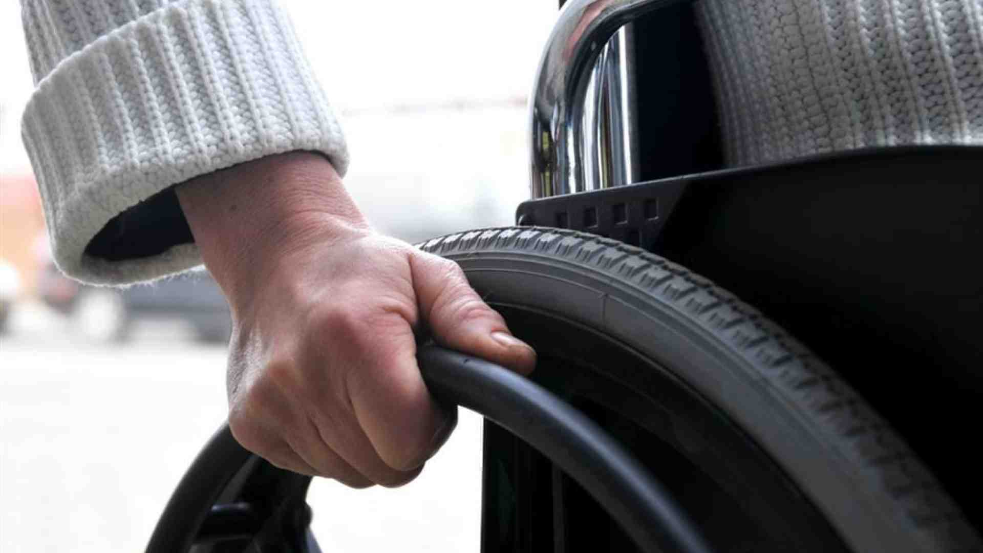 Immagine di Categorie protette, la situazione italiana