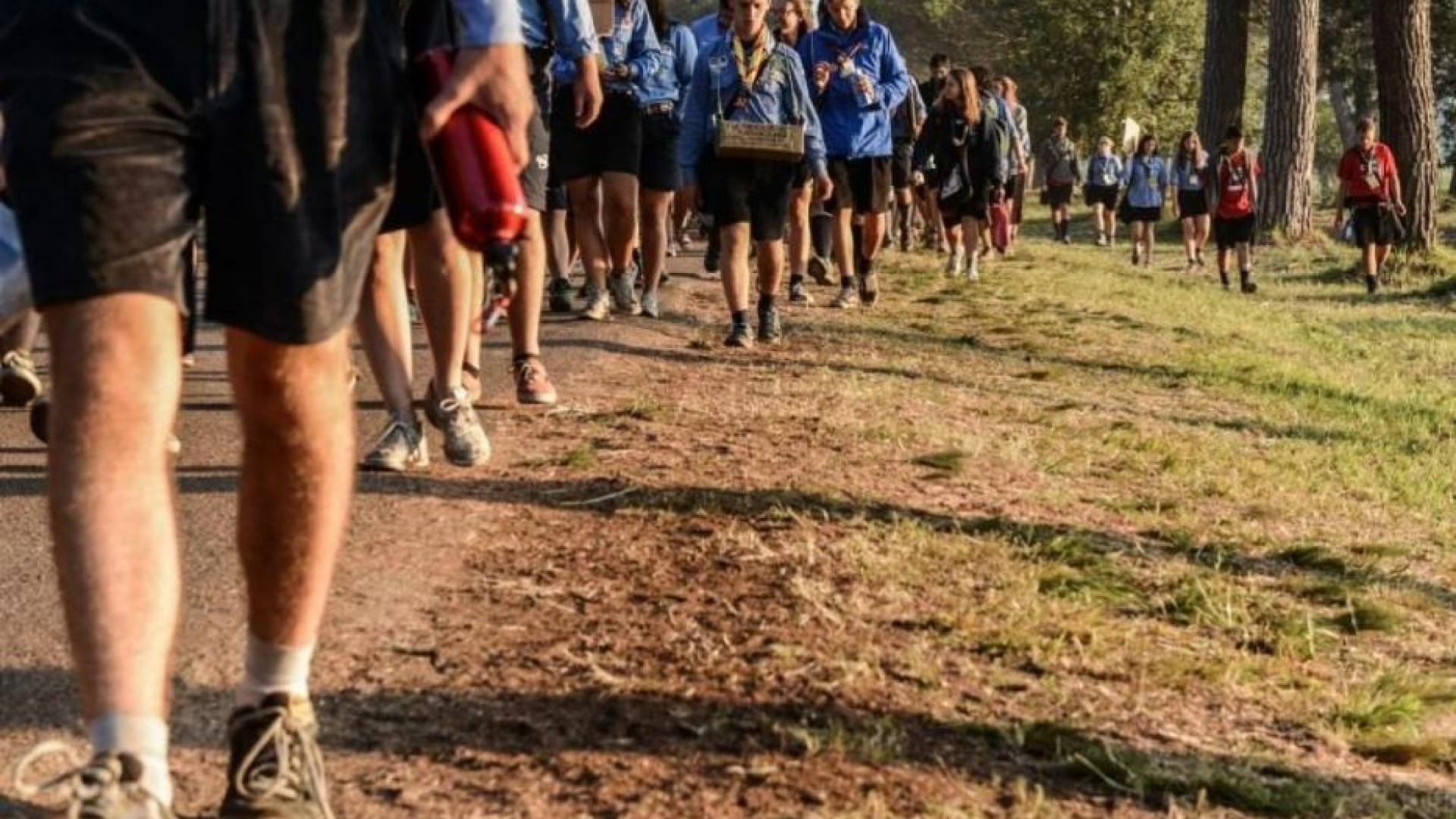 Immagine di Gli scout e l'identità di genere In cammino verso la persona
