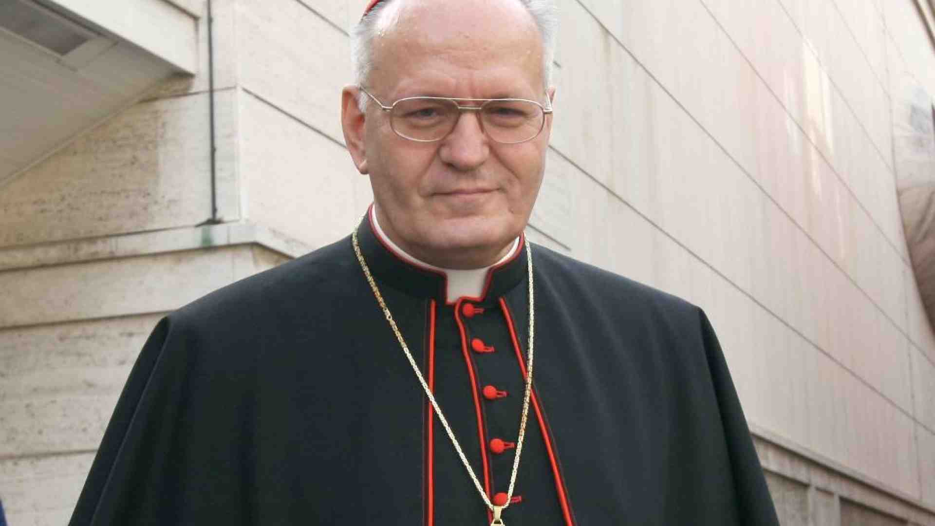 Immagine di Il cardinale Erdö: un segno di vicinanza