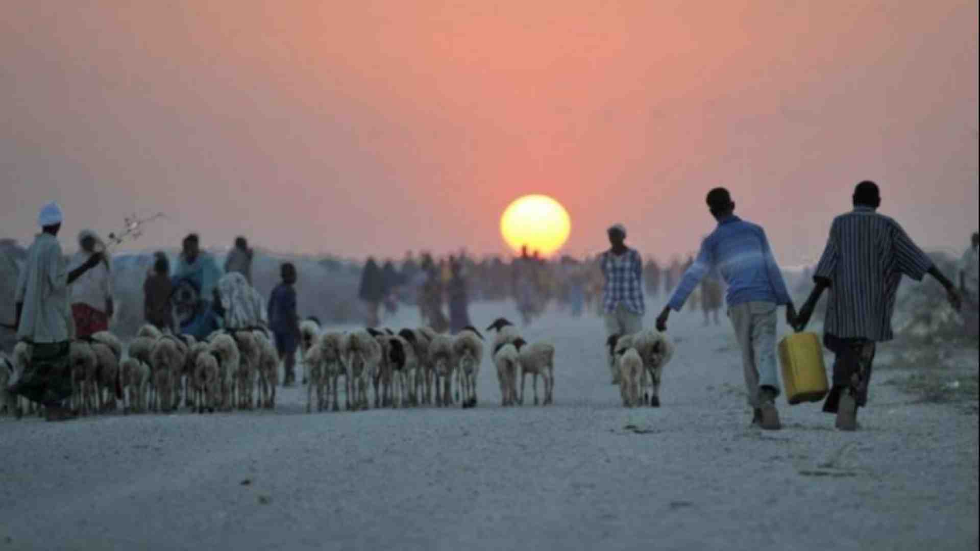 Immagine di Profughi, l'Onu: «Il clima malato è ormai un'emergenza umanitaria»