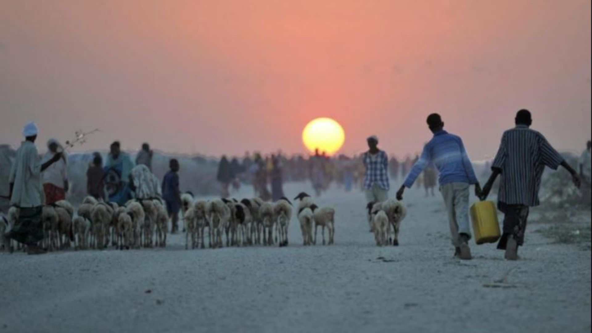 Immagine di Profughi, l'Onu: «Il clima malato è ormai un'emergenza umanitaria»