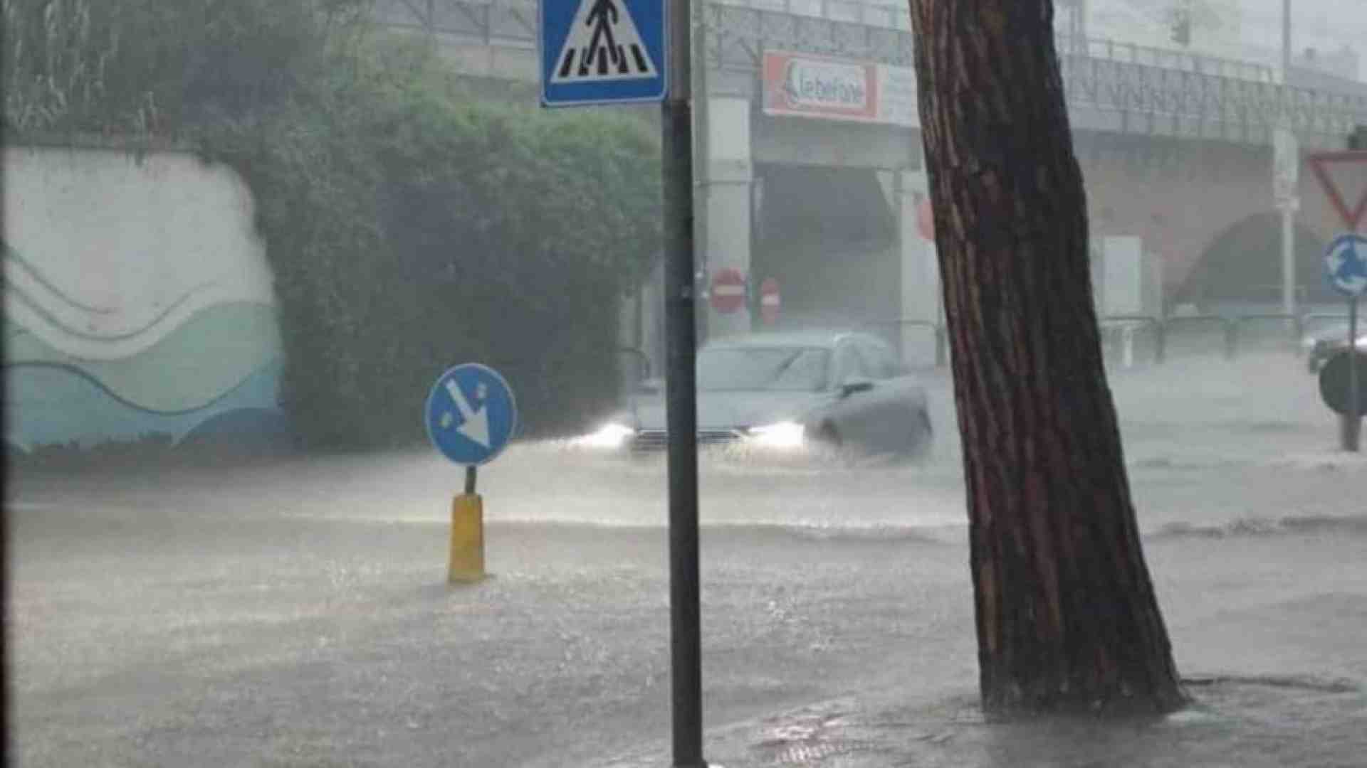 Immagine di Emilia Romagna, è allerta rossa. Oltre 900 evacuati in provincia di Ravenna