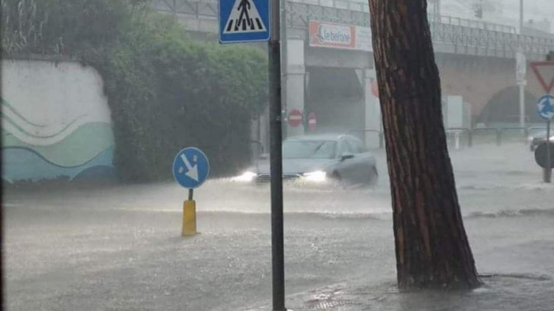 Immagine di Emilia Romagna, è allerta rossa. Oltre 900 evacuati in provincia di Ravenna