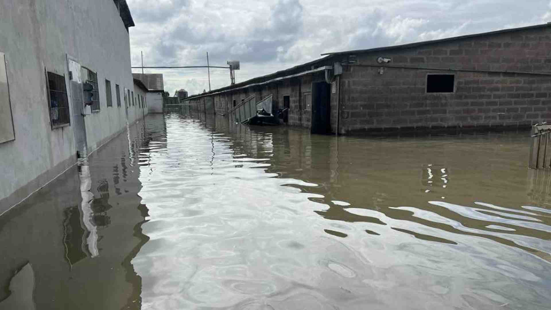 Immagine di Per la ricostruzione niente fondi del Pnrr. A rischio 50mila posti