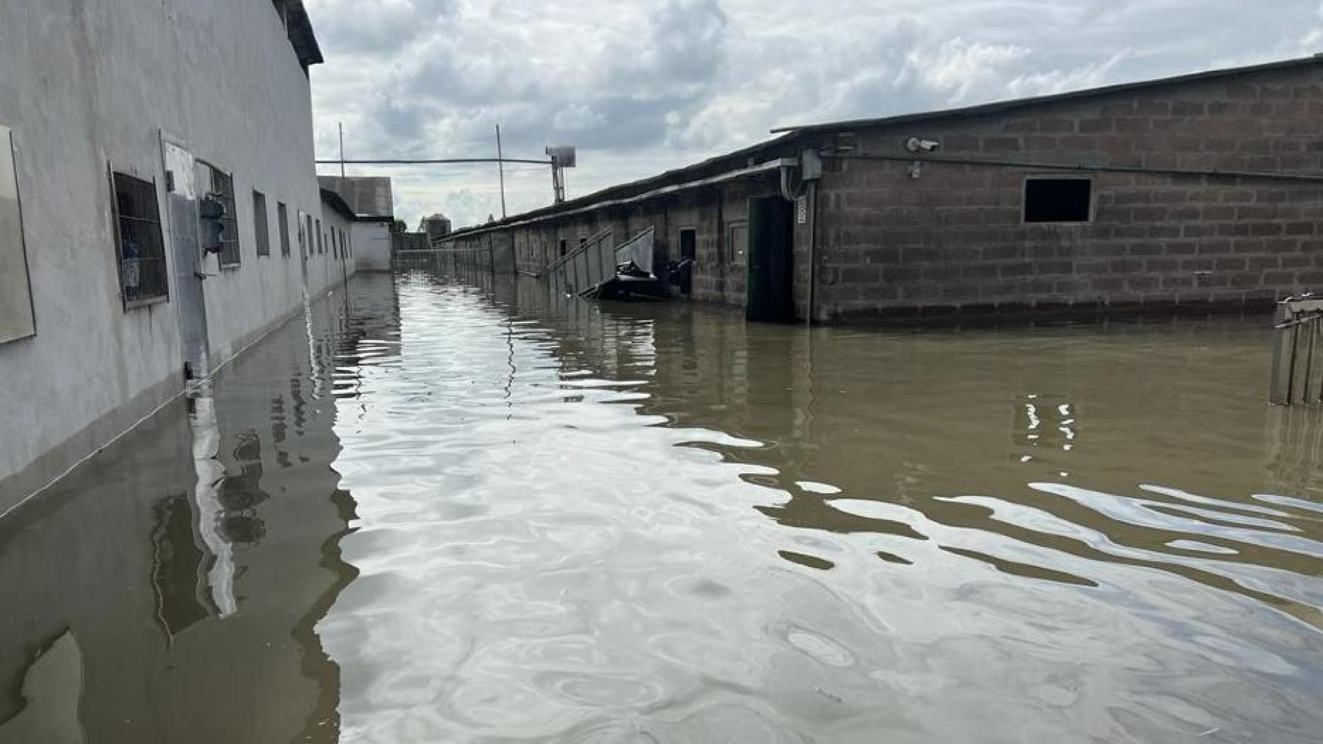 Immagine di Per la ricostruzione niente fondi del Pnrr. A rischio 50mila posti