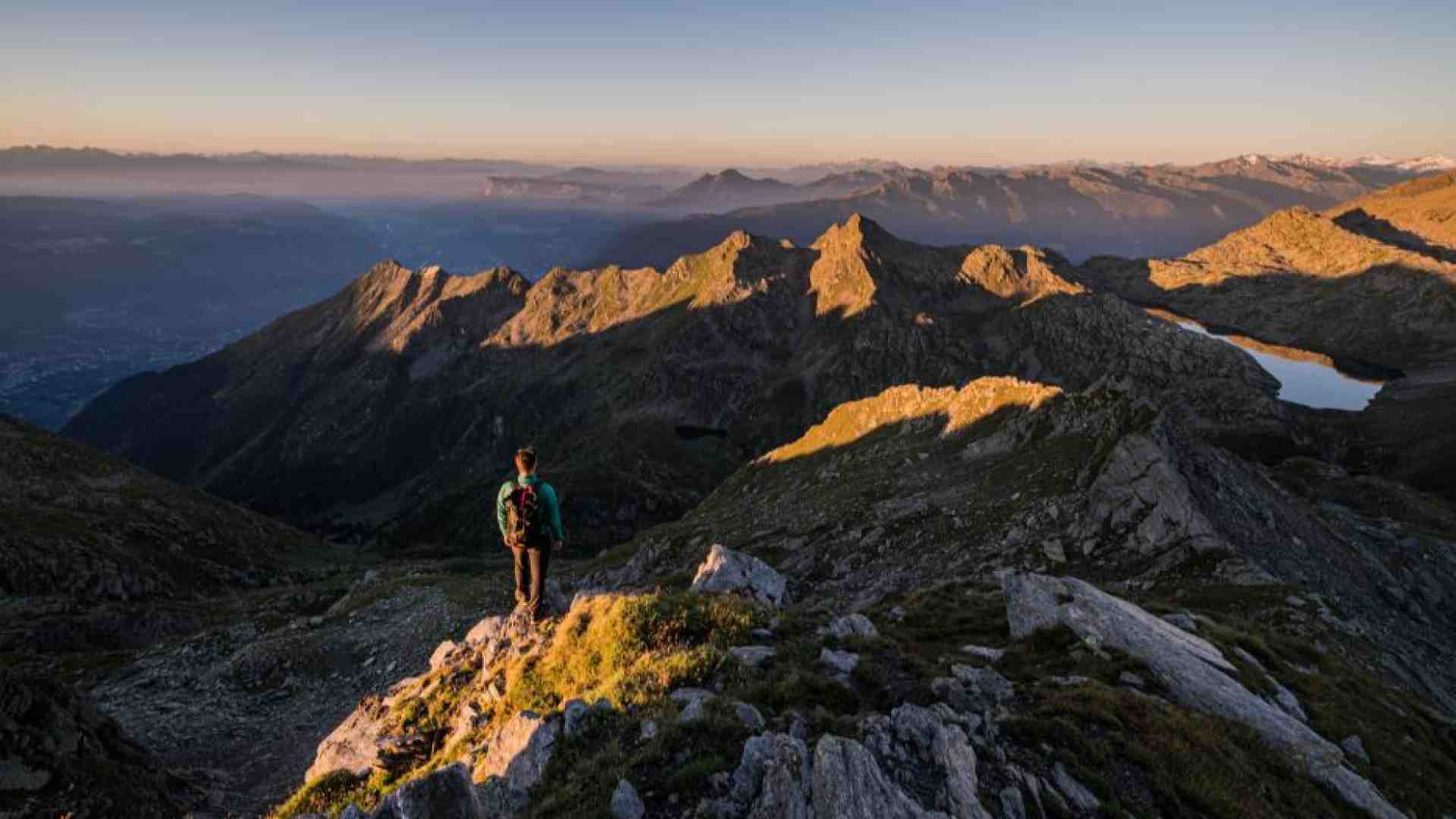 Immagine di Papa Francesco: fermiamo la guerra contro la natura