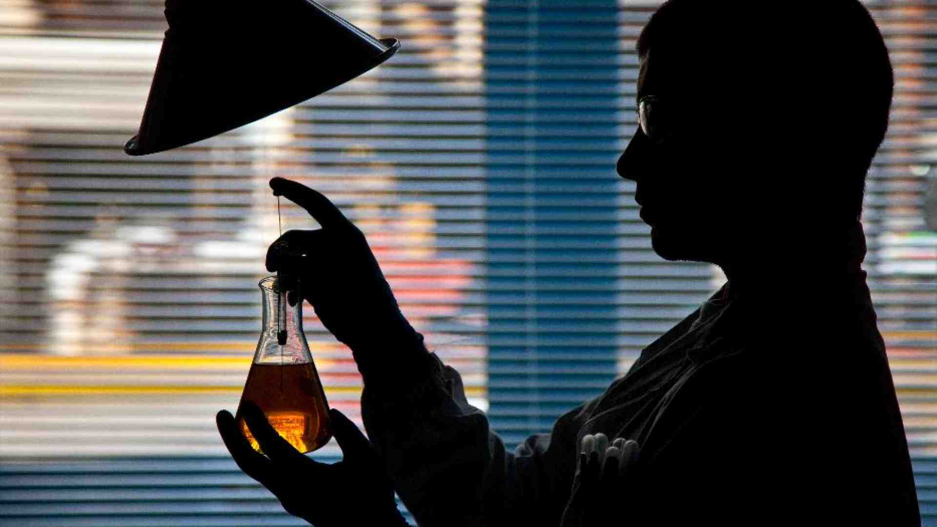 Immagine di «Le offerte delle aziende sono pessime». Sì, ma non si rimane a casa