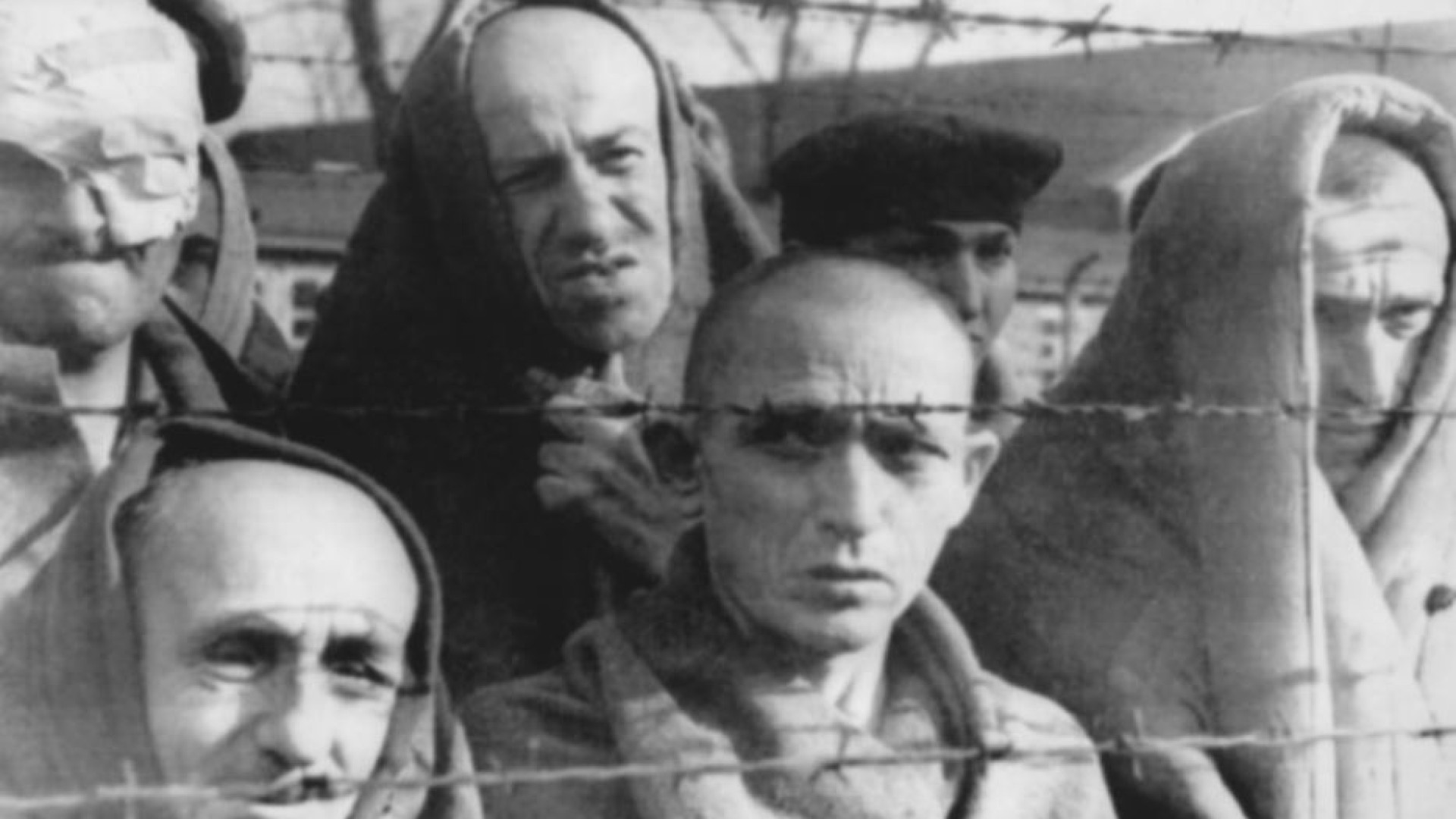 Immagine di Perché il dolore? L'eterna domanda che inquieta la fede