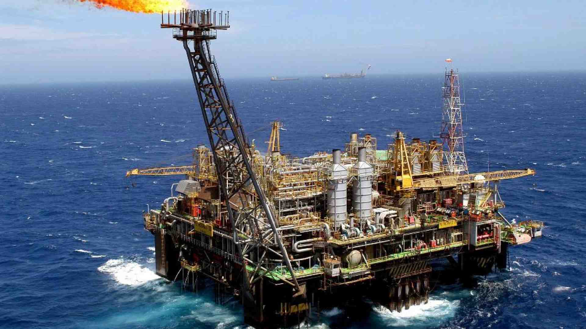 Immagine di Compensare le emissioni di CO2: le ombre nel mercato dei crediti