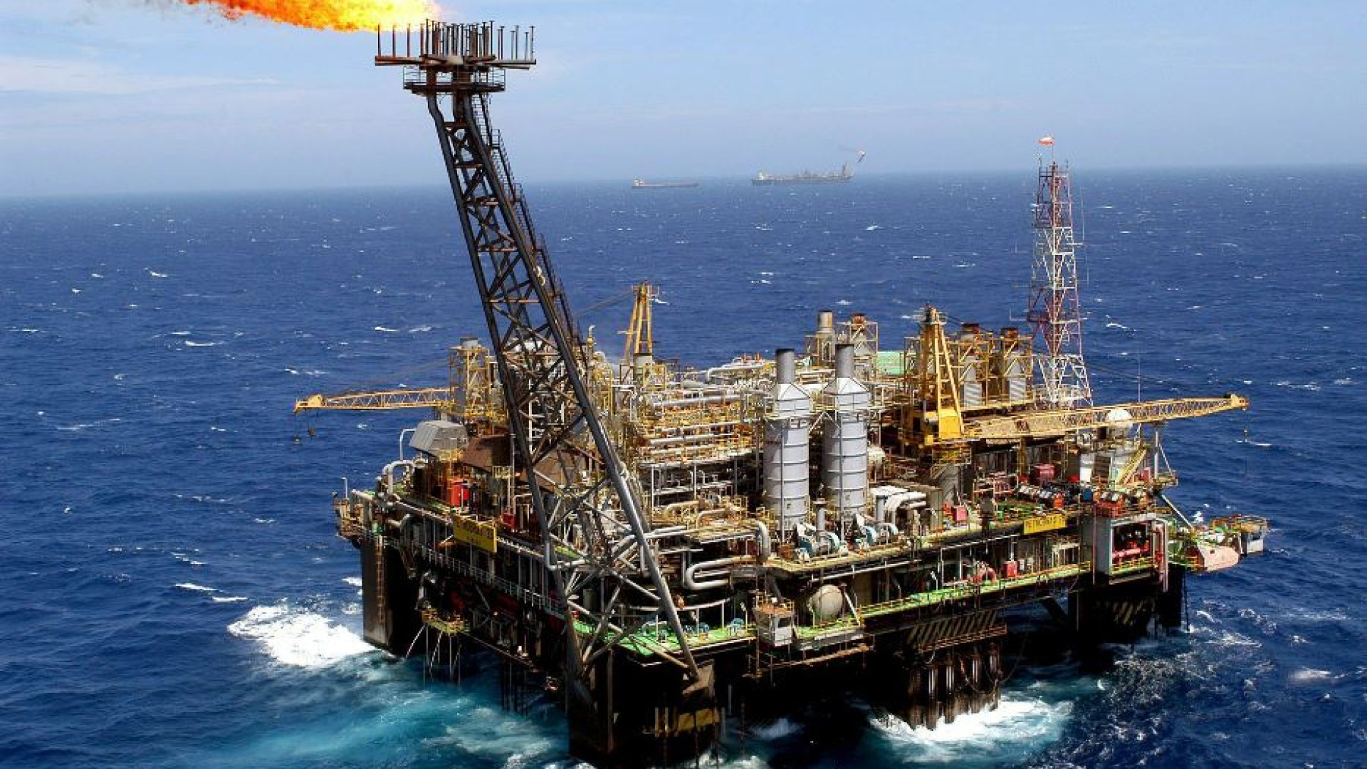 Immagine di Compensare le emissioni di CO2: le ombre nel mercato dei crediti
