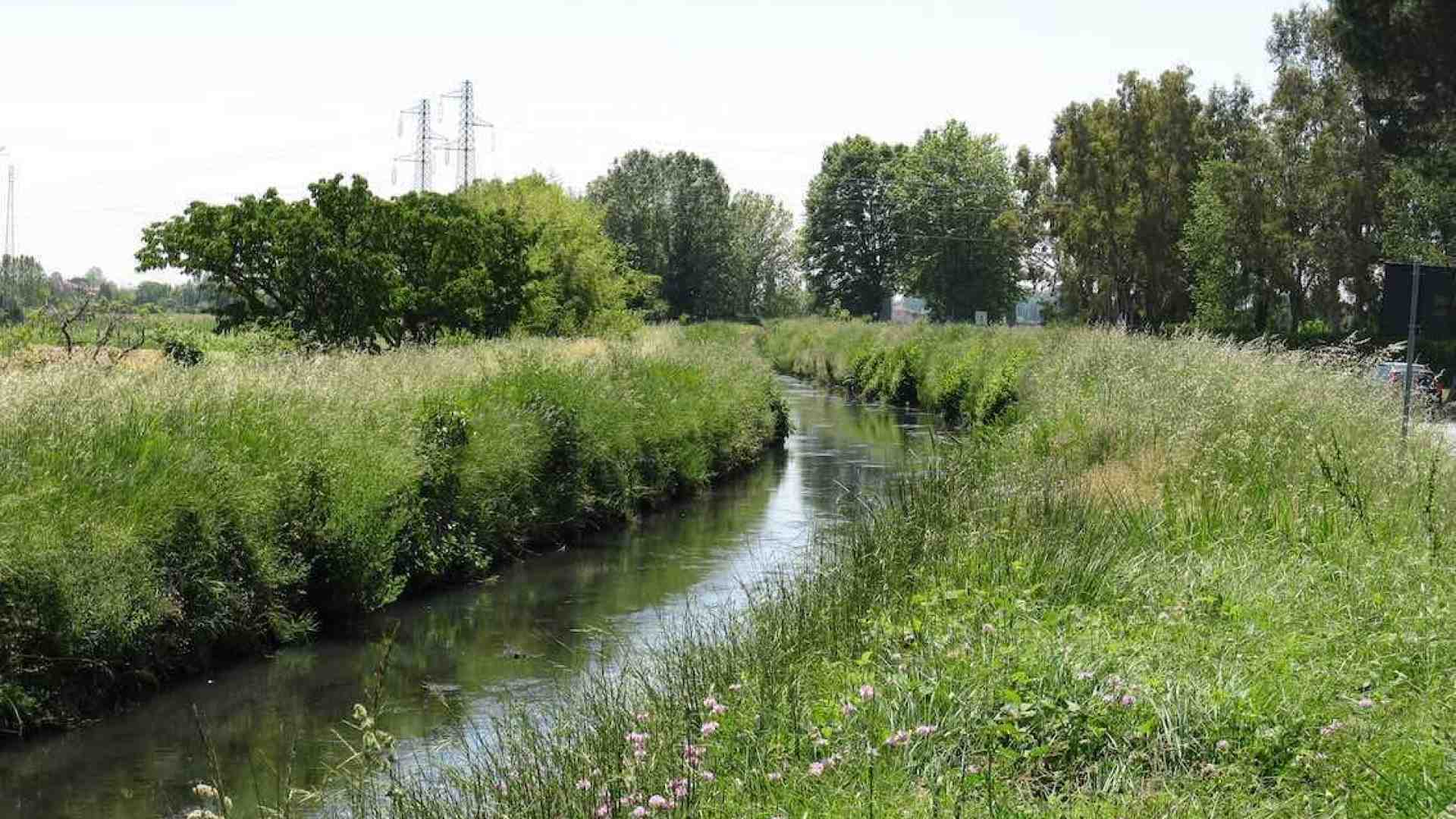 Immagine di La lezione della prevenzione mancata