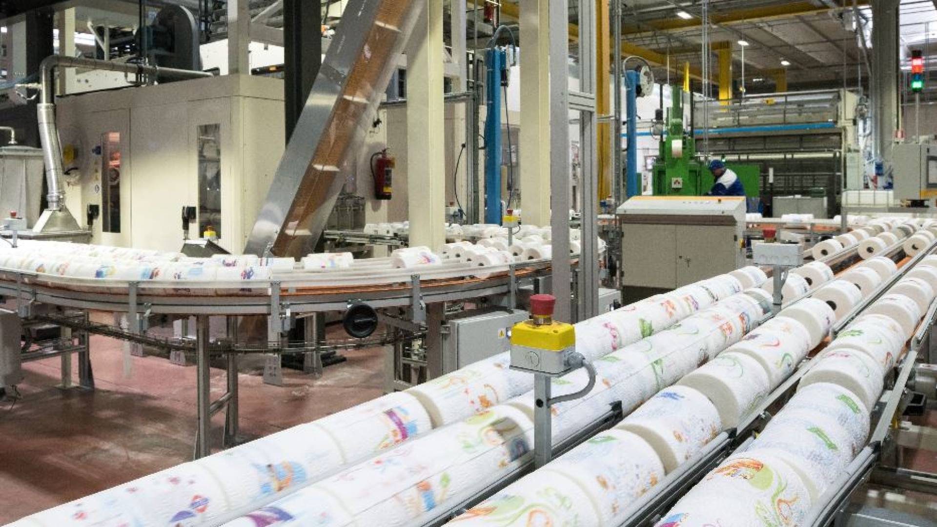Immagine di La carta sostenibile di Sofidel ha conquistato il mercato