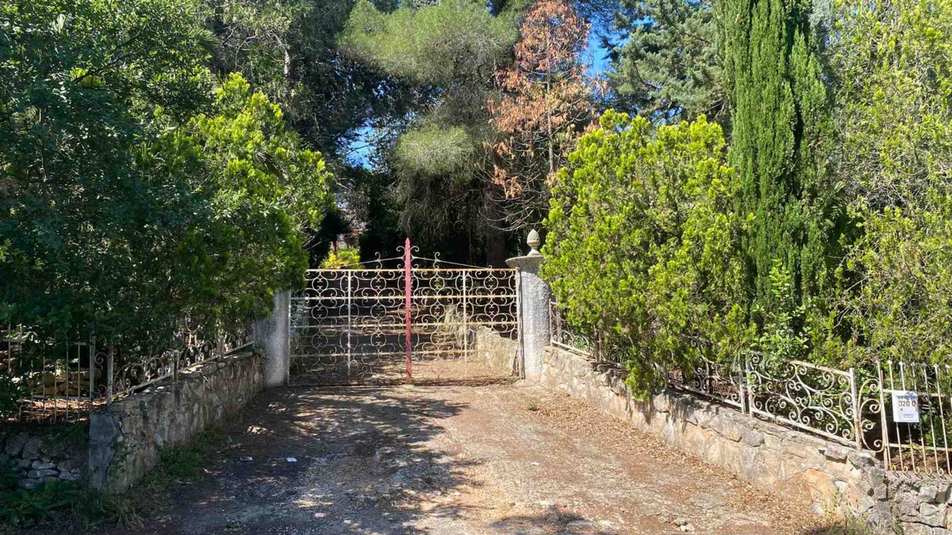 Immagine di Padre investe la figlia di 54 anni e la uccide: fermato per omicidio