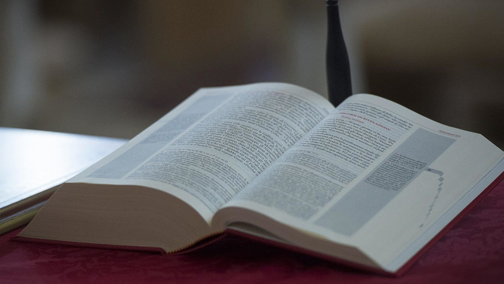 Immagine di «Volgare e violenta»: lo Utah vieta la Bibbia a scuola