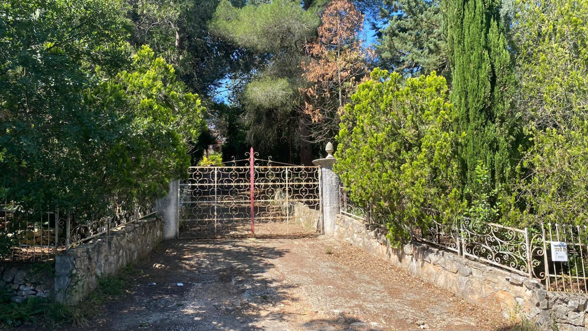 Immagine di Padre investe la figlia di 54 anni e la uccide: fermato per omicidio