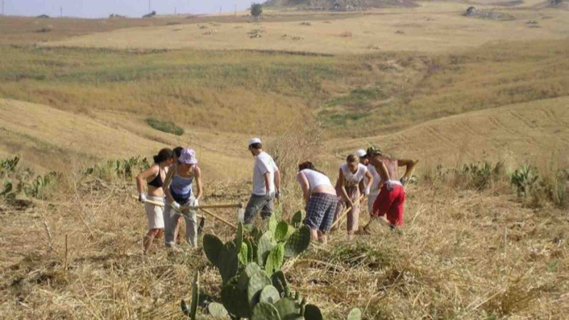 Immagine di La Cei: in campo agricolo lo stile cooperativo è via di sviluppo