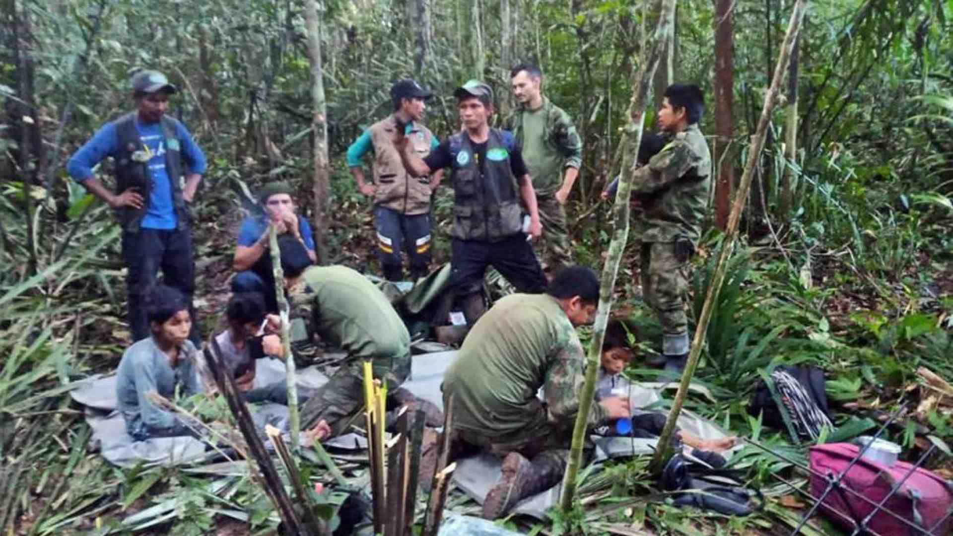 Immagine di Sopravvissuti 40 giorni nella giungla, 4 fratellini salvati in Colombia