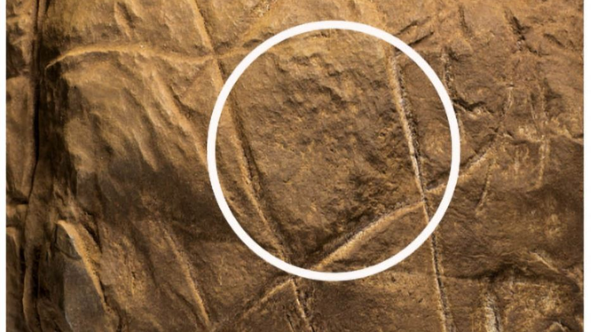 Immagine di I segni di Naledi, domande dell'uomo