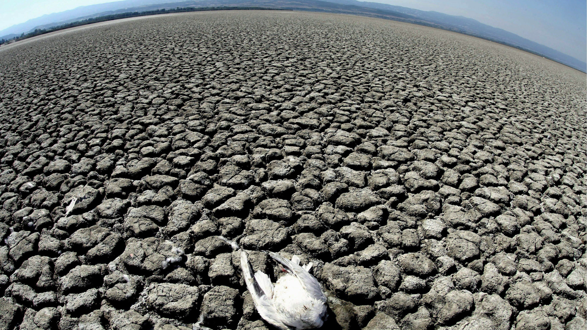 Immagine di La desertificazione «globale» minaccia 168 Paesi