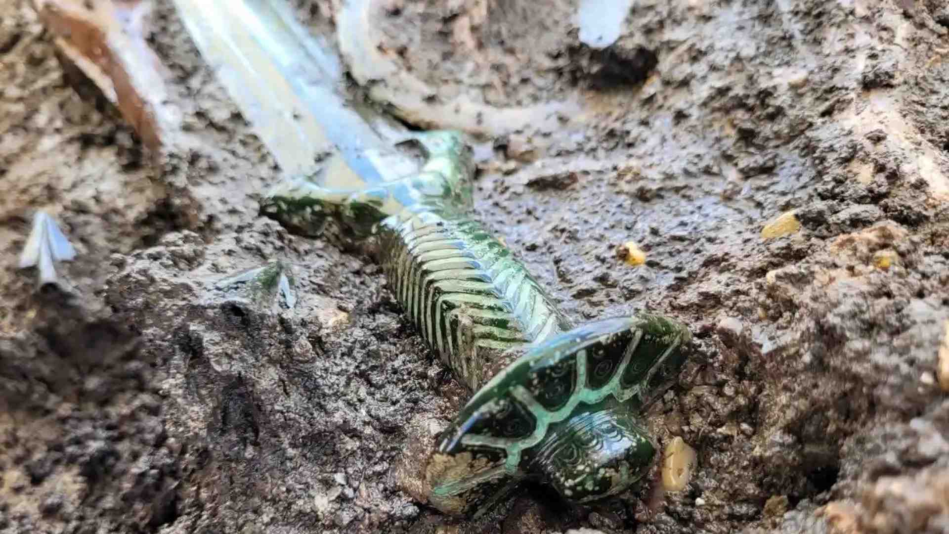 Immagine di Una spada di bronzo di 3mila anni fa riemerge intatta: «Brilla ancora»