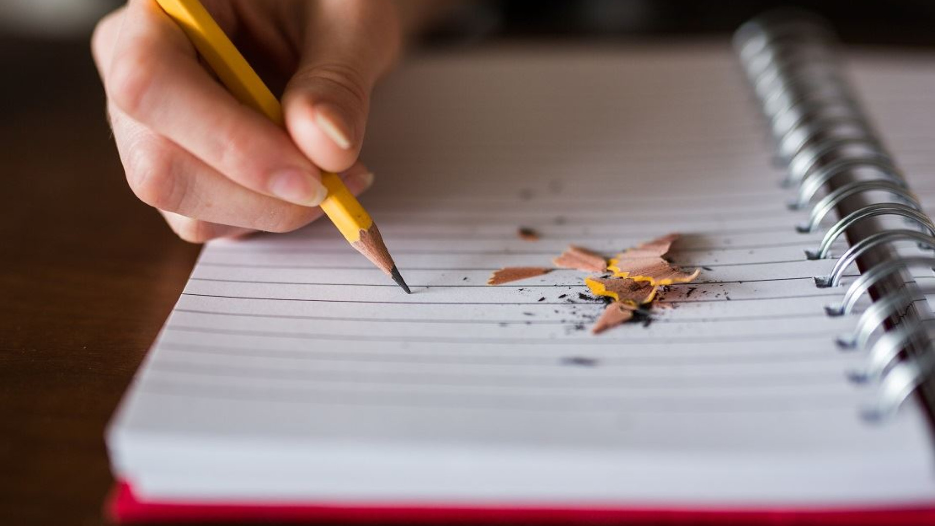 Immagine di La parola giusta: la lingua italiana alla prova della maturità