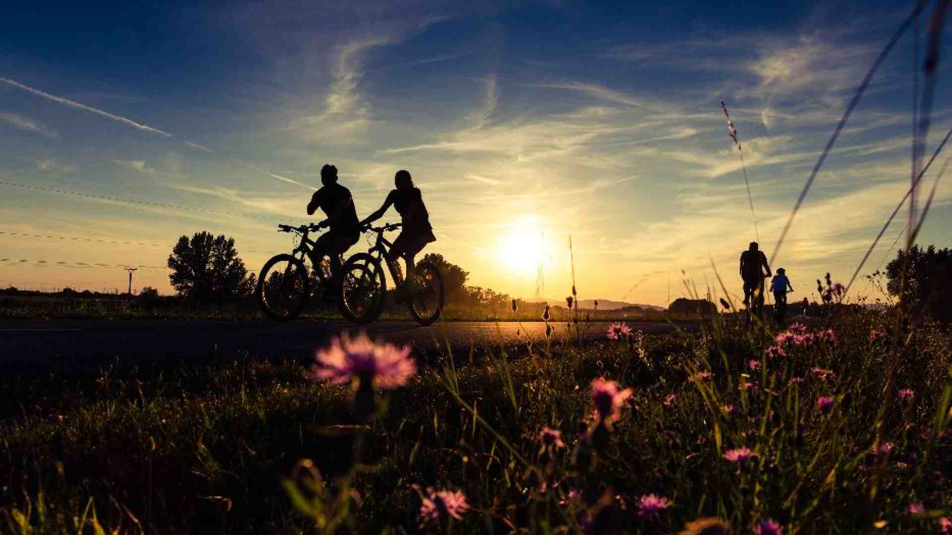 Immagine di La sostenibilità è a pedali. Il 2023 anno del cicloturismo
