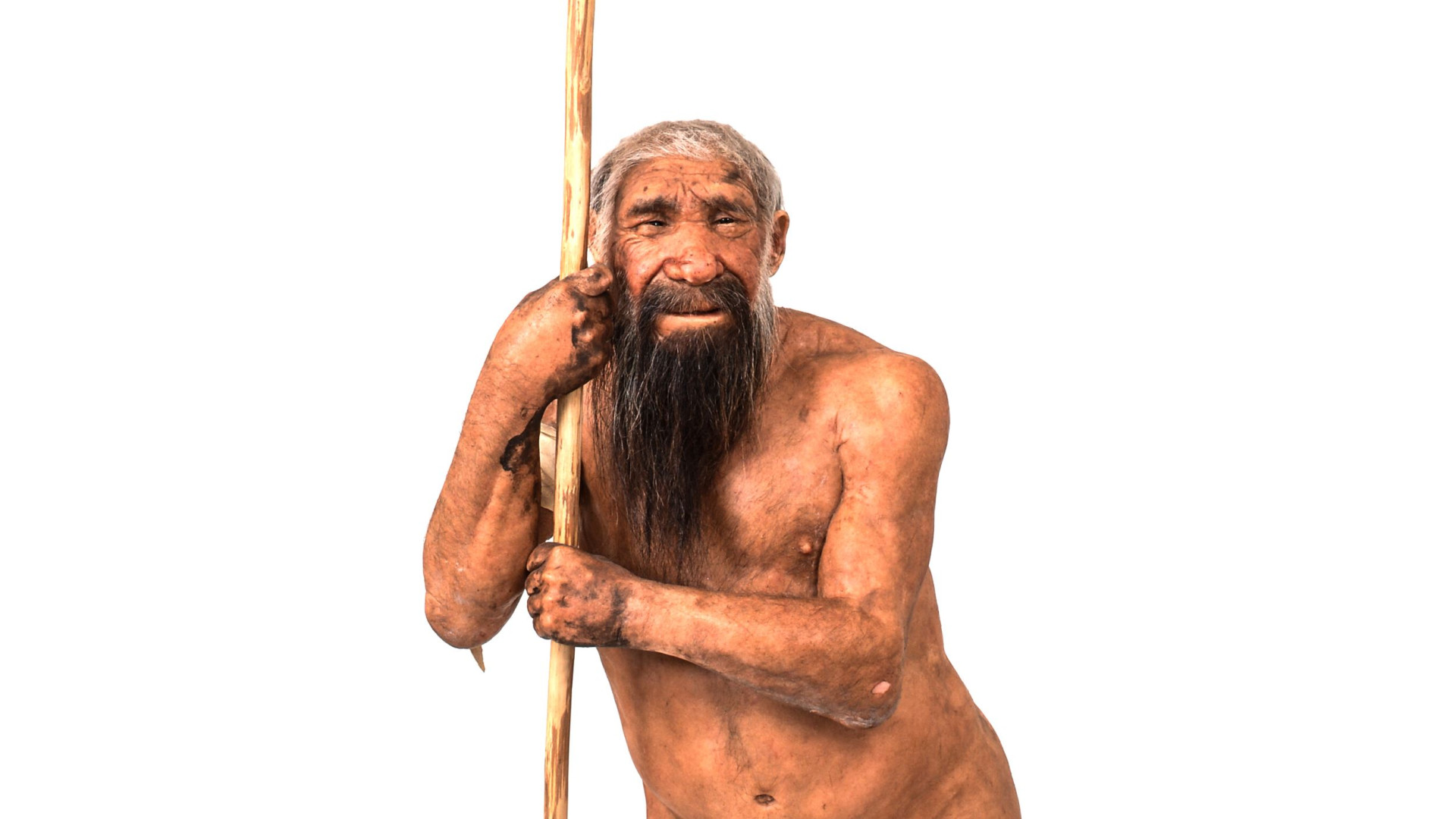 Immagine di Neanderthal, trovati in Francia i "disegni" più antichi