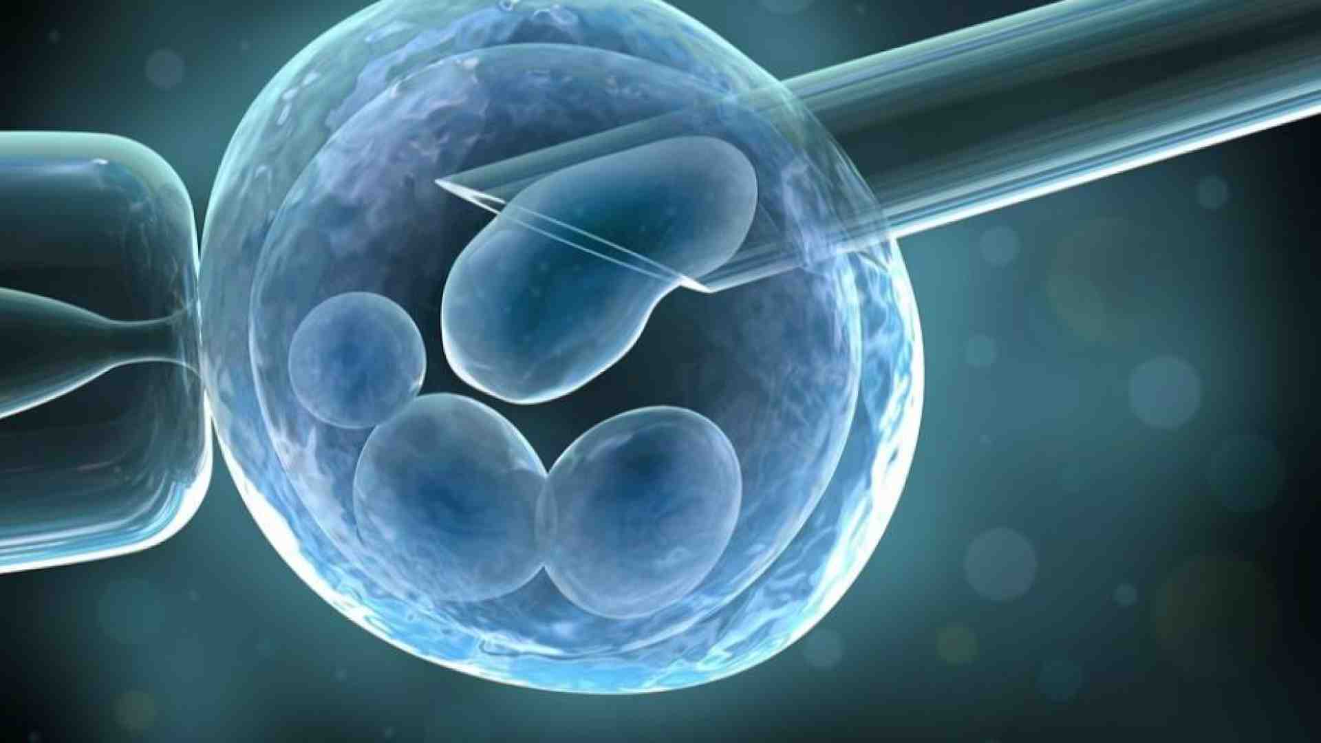 Immagine di Tra provette e algoritmi, cos'è oggi l'«umano»?