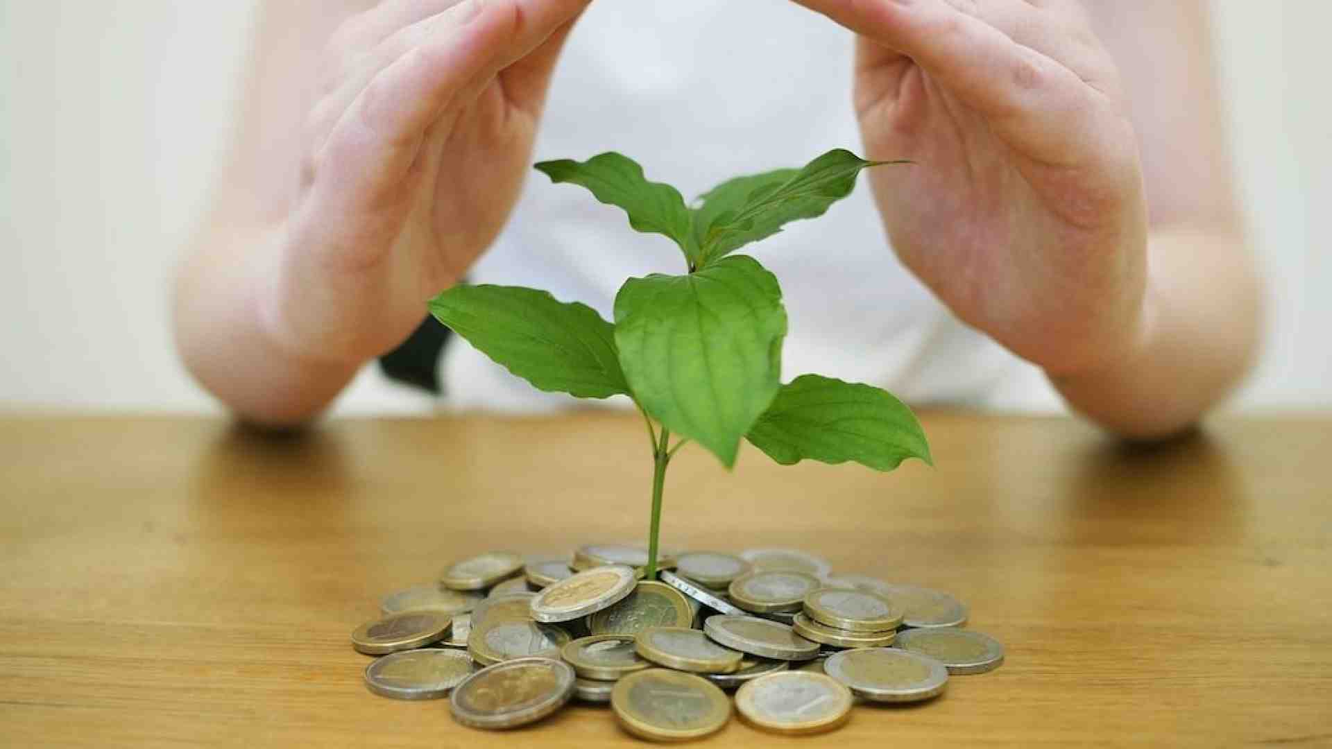 Immagine di Chi ci aiuta ad investire con giudizio?