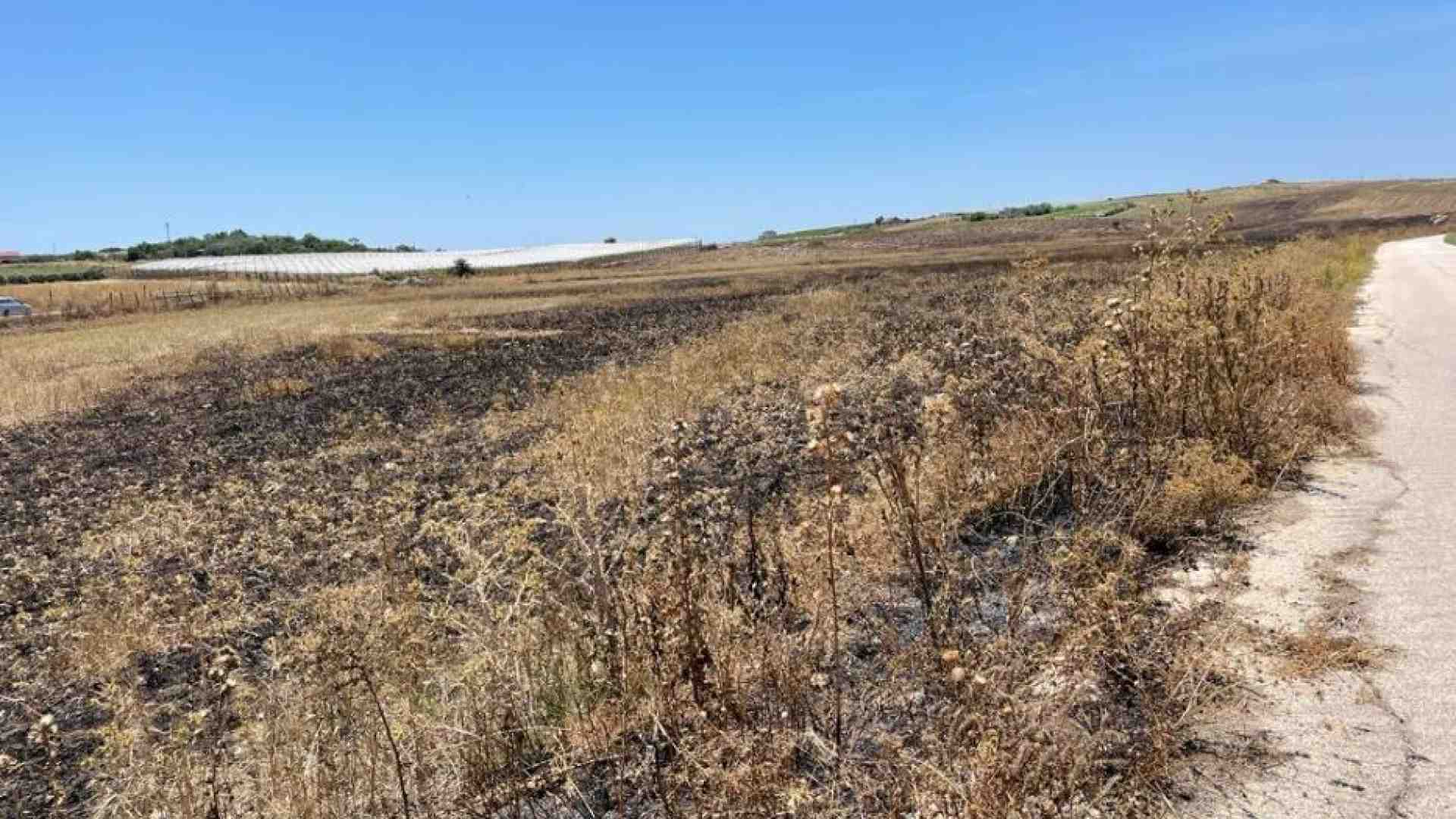 Immagine di Coop "Livatino" di nuovo nel mirino: incendiati 30 ettari coltivati a grano