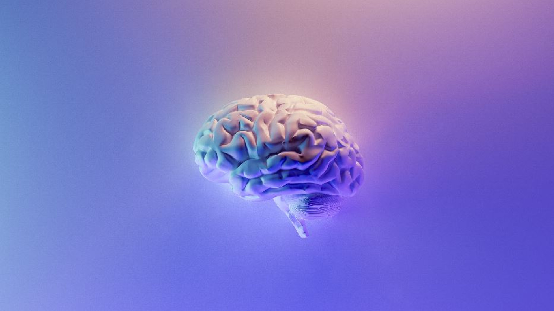 Immagine di E il filosofo vinse sullo scienziato la scommessa sulla coscienza