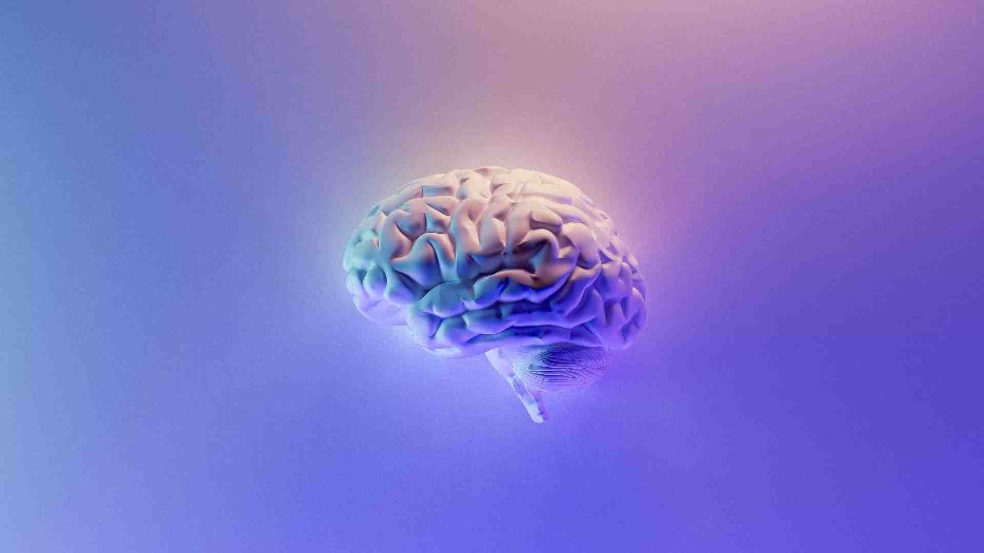 Immagine di E il filosofo vinse sullo scienziato la scommessa sulla coscienza