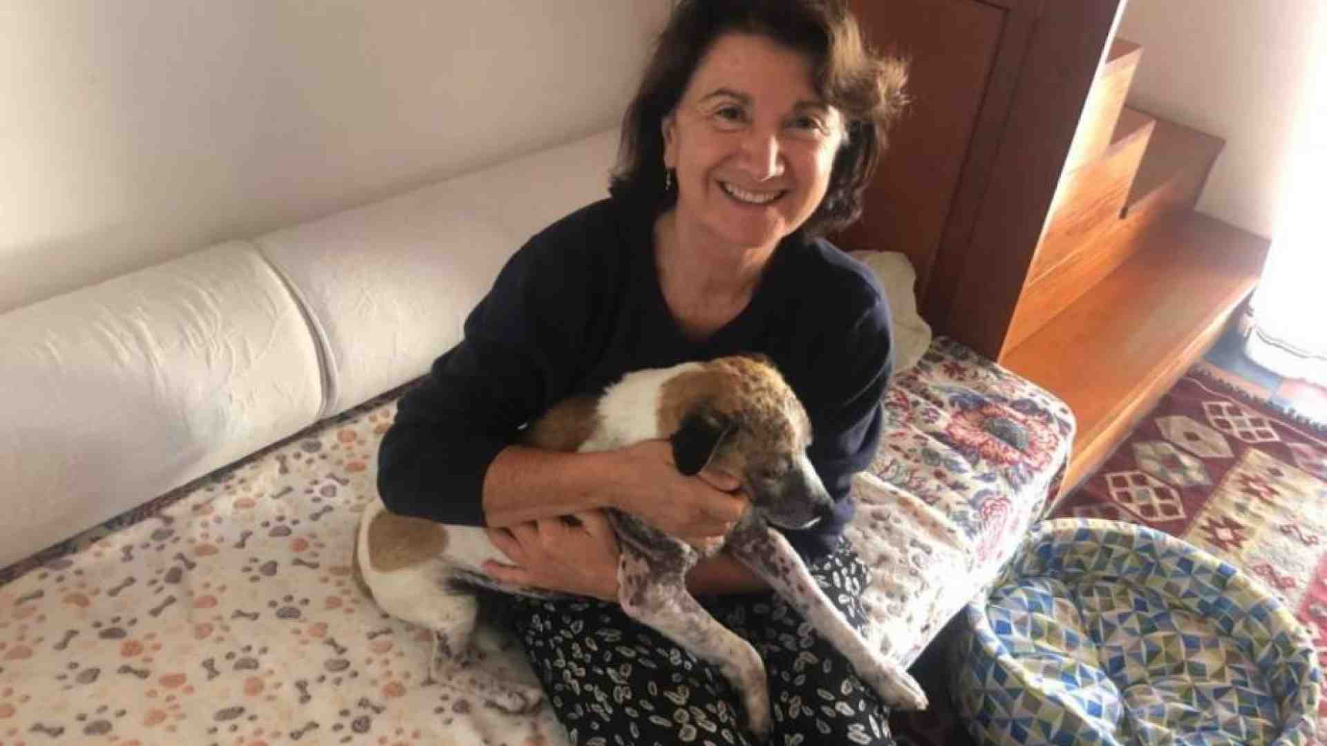 Immagine di Cani e gatti anziché figli? Polemiche su Roccella, ma la questione è aperta