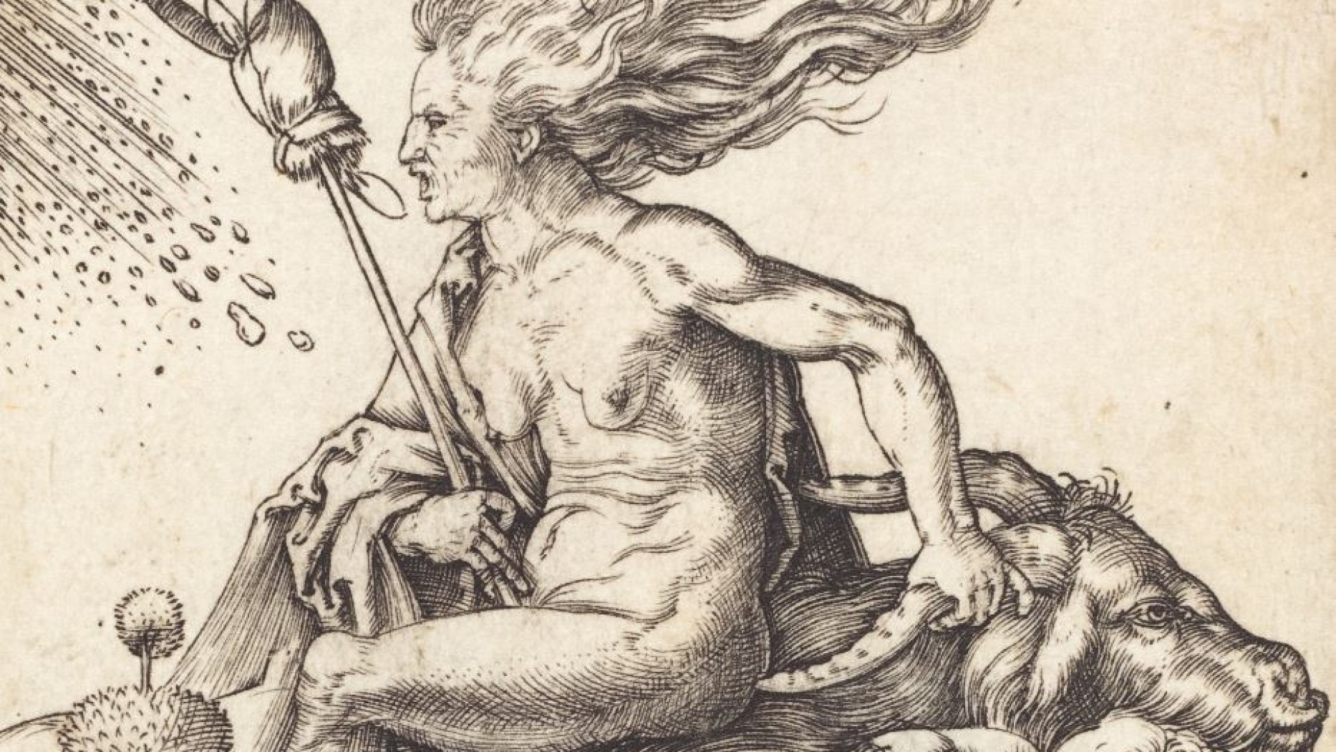 Immagine di La caccia alle streghe? È figlia del Rinascimento