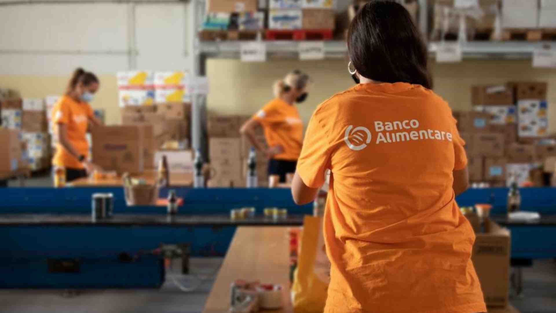 Immagine di Meno cibo raccolto, meno poveri aiutati: la guerra sfida il Banco Alimentare