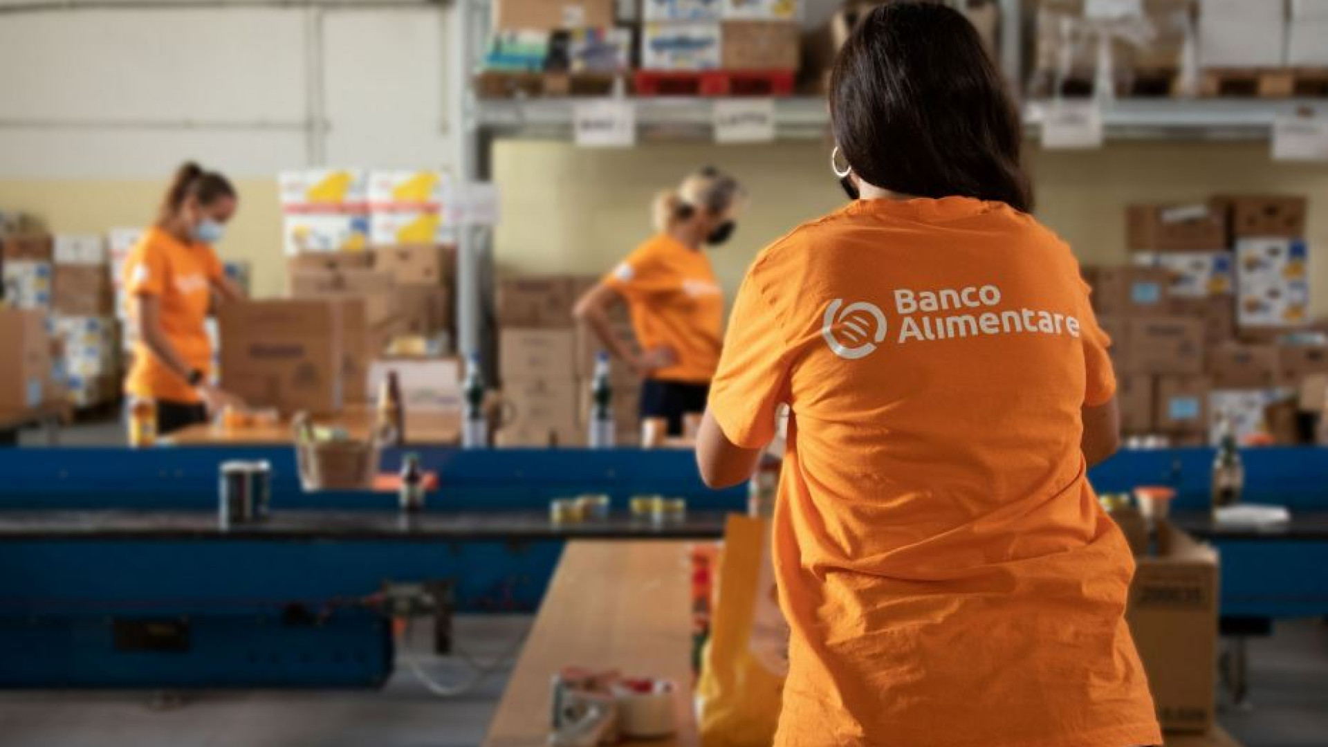 Immagine di Meno cibo raccolto, meno poveri aiutati: la guerra sfida il Banco Alimentare