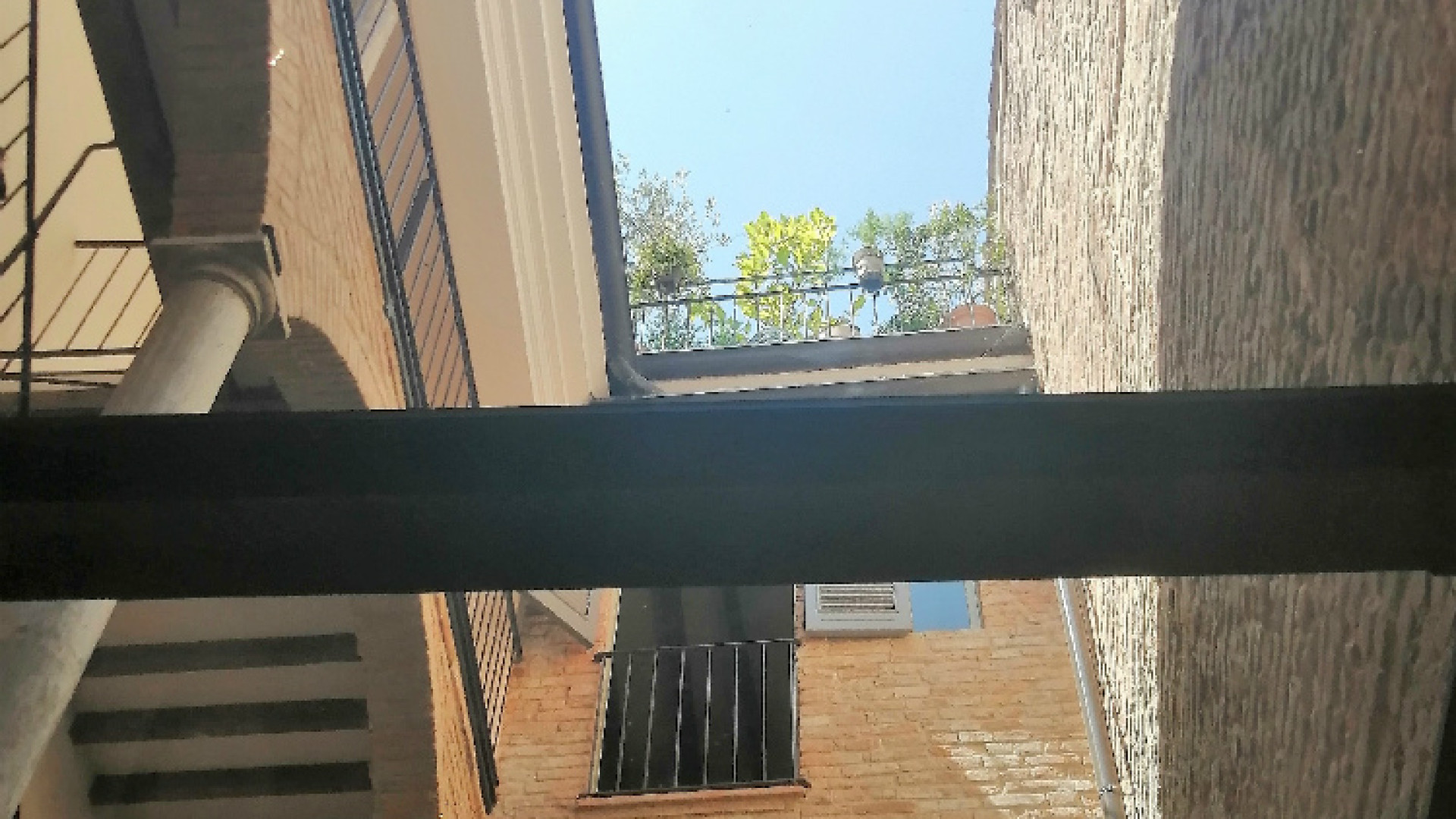 Immagine di Stradivari finalmente ritrova casa e si proietta nel futuro. Con fiducia