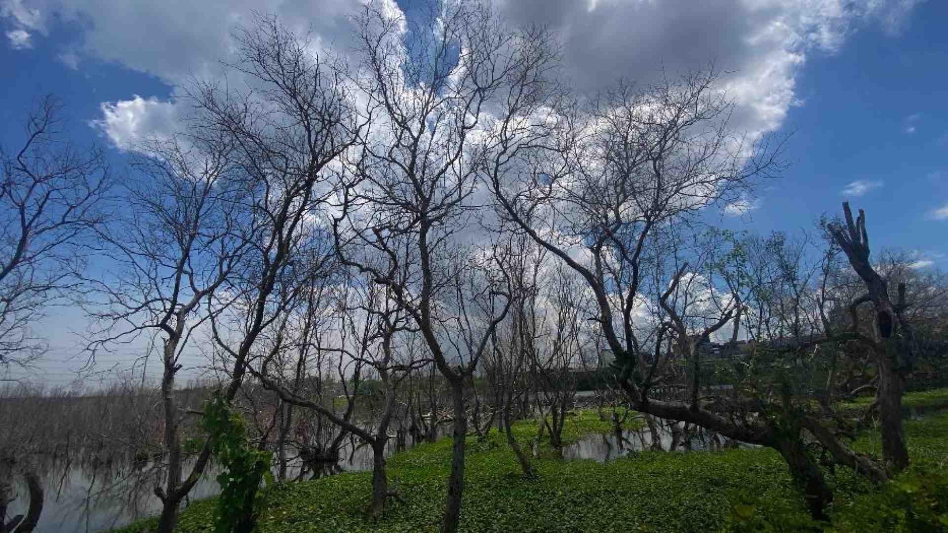 Immagine di L'Onu: registrati i 3 giorni consecutivi più caldi di sempre