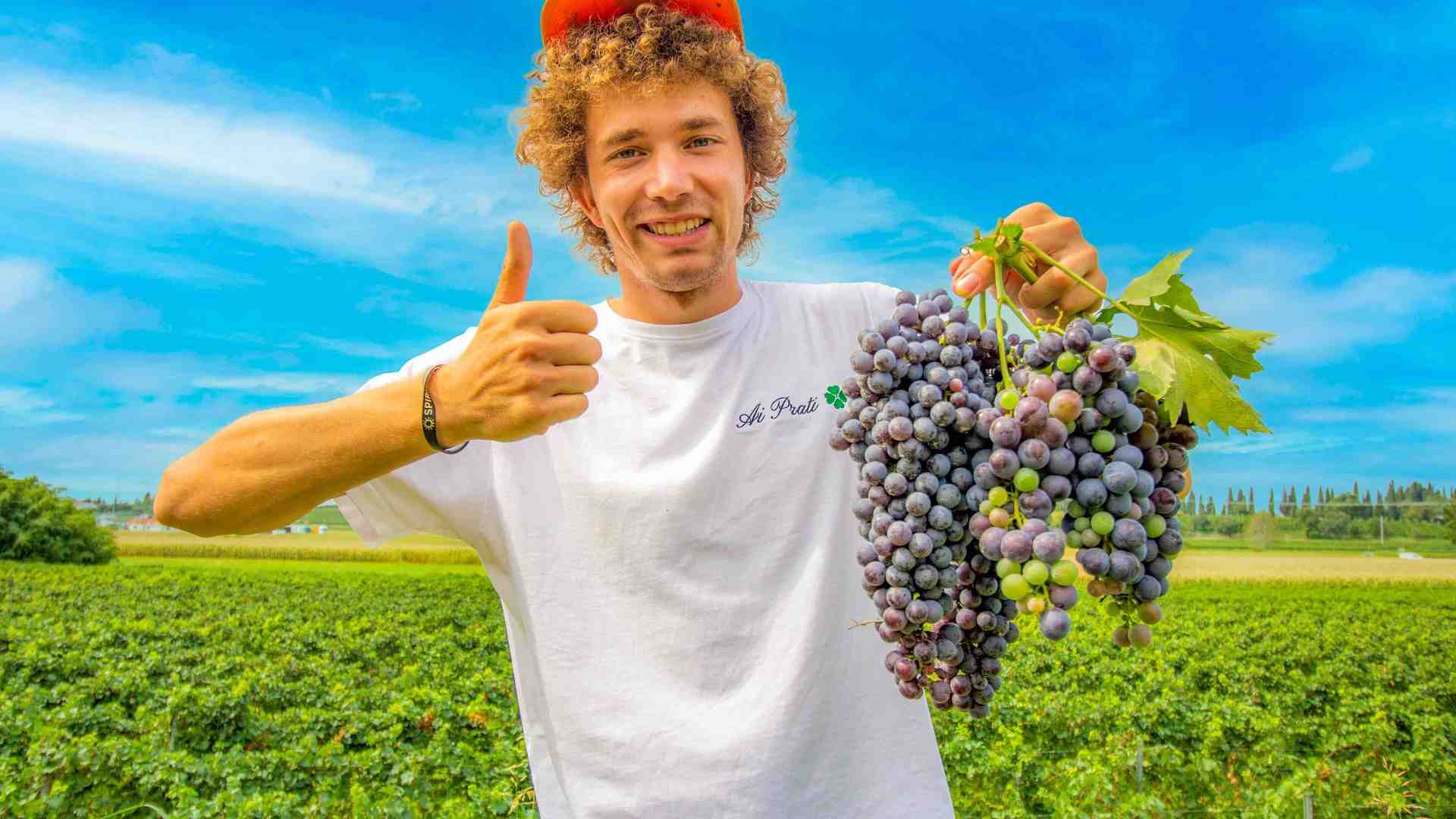 Immagine di Alessandro, agricoltore da Oscar mette in video la vita contadina