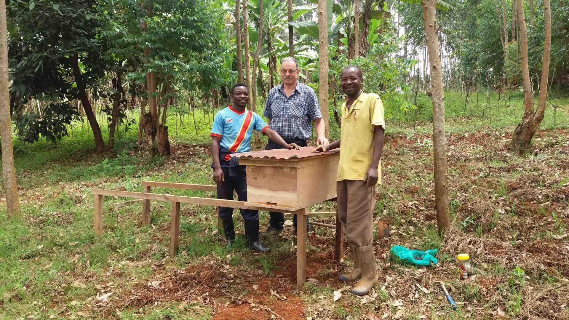 Immagine di Tante arnie piene di api per aiutare gli africani