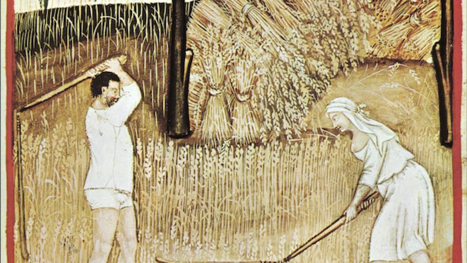 Immagine di Grano, senape, lievito chiedono pazienza