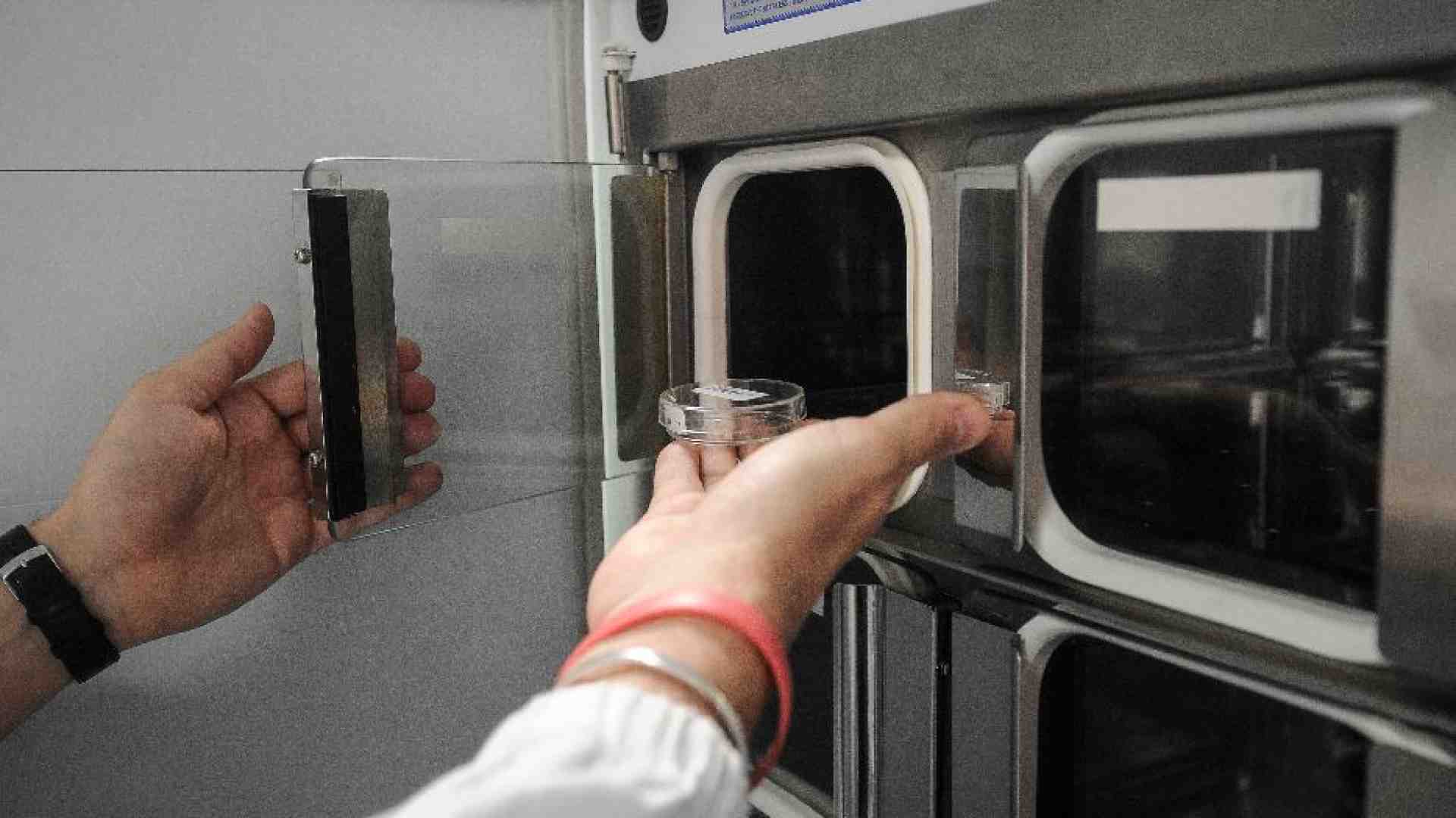 Immagine di Procreazione assistita, l'uomo non può rifiutarsi di diventare padre