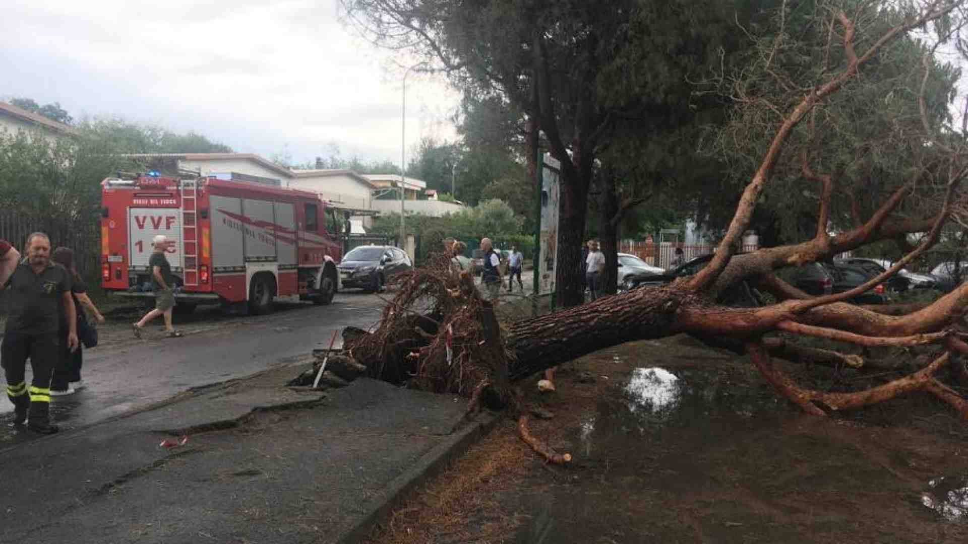Immagine di Maltempo, morta una donna travolta da un albero