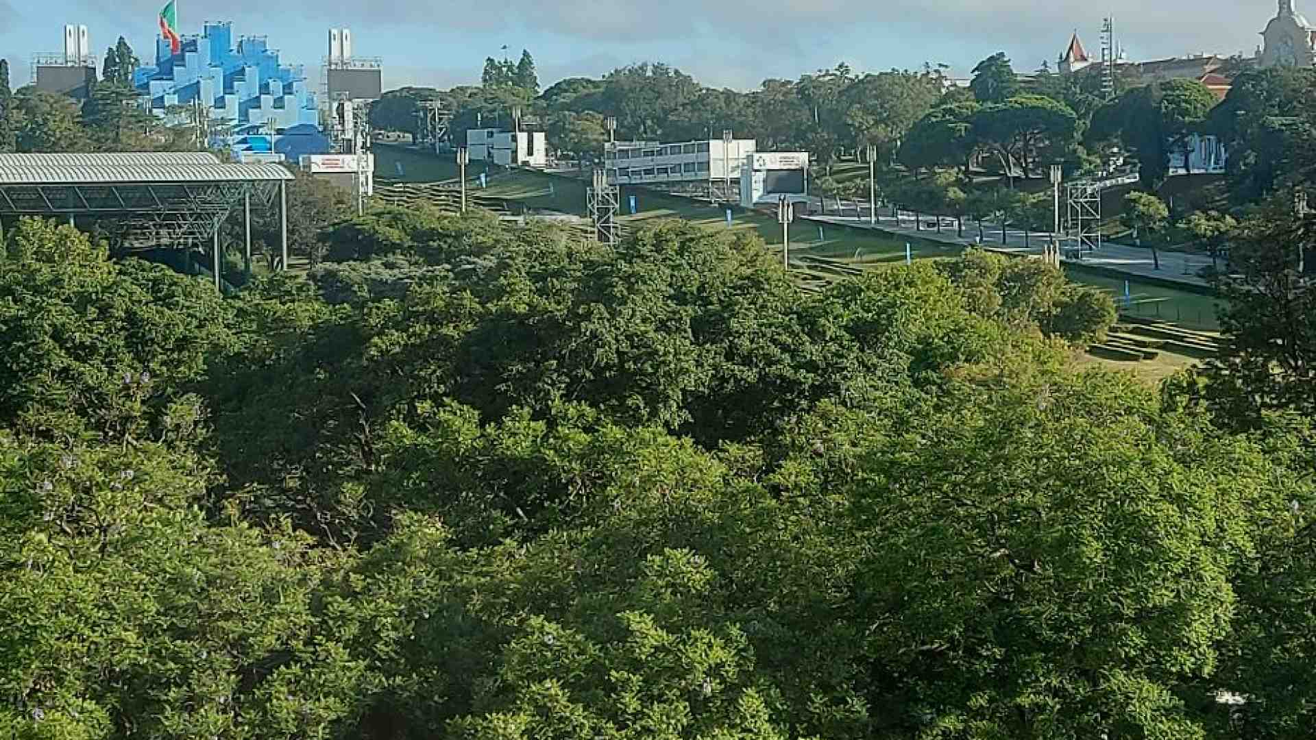 Immagine di Piantare alberi in tutto il mondo: la challenge per rendere la Gmg sostenibile
