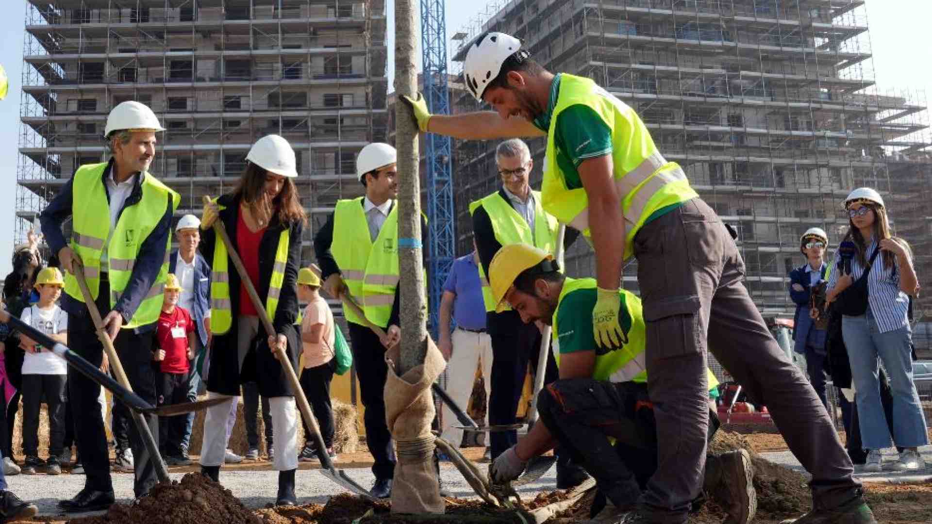 Immagine di Sala: "Ripianteremo 5mila alberi"