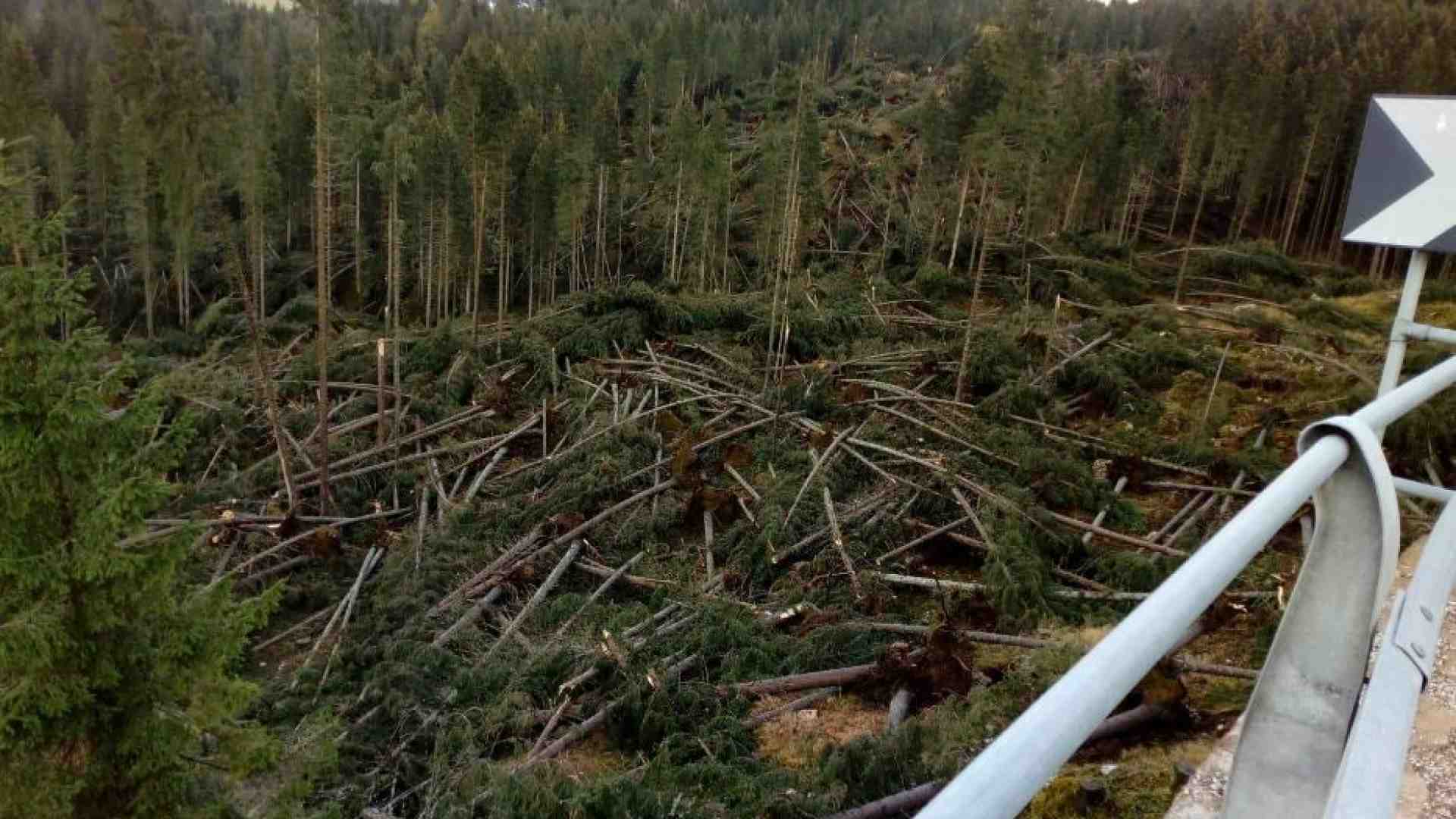 Immagine di Appello di Mattarella e altri 5 Paesi per il clima: non c'è tempo da perdere