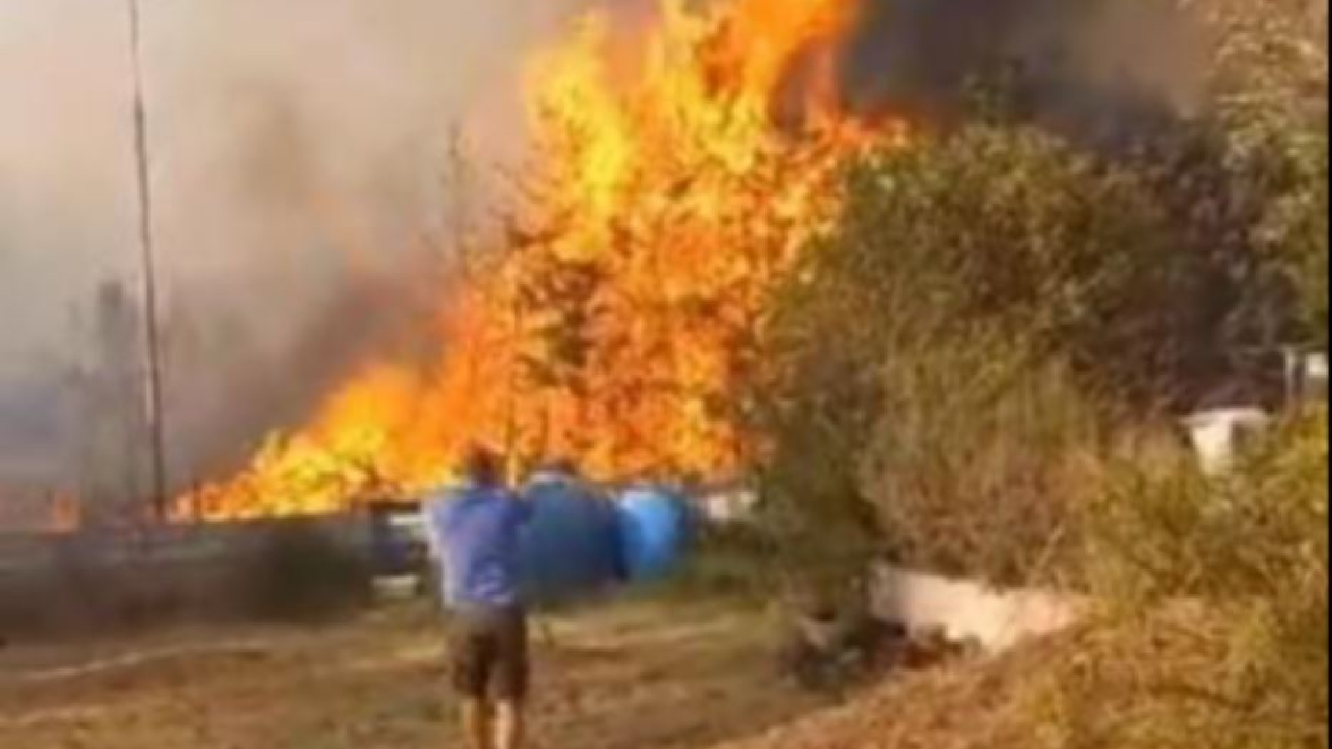 Immagine di Spopolamento e abbandono delle terre. Perché in Sardegna i roghi sono dolosi