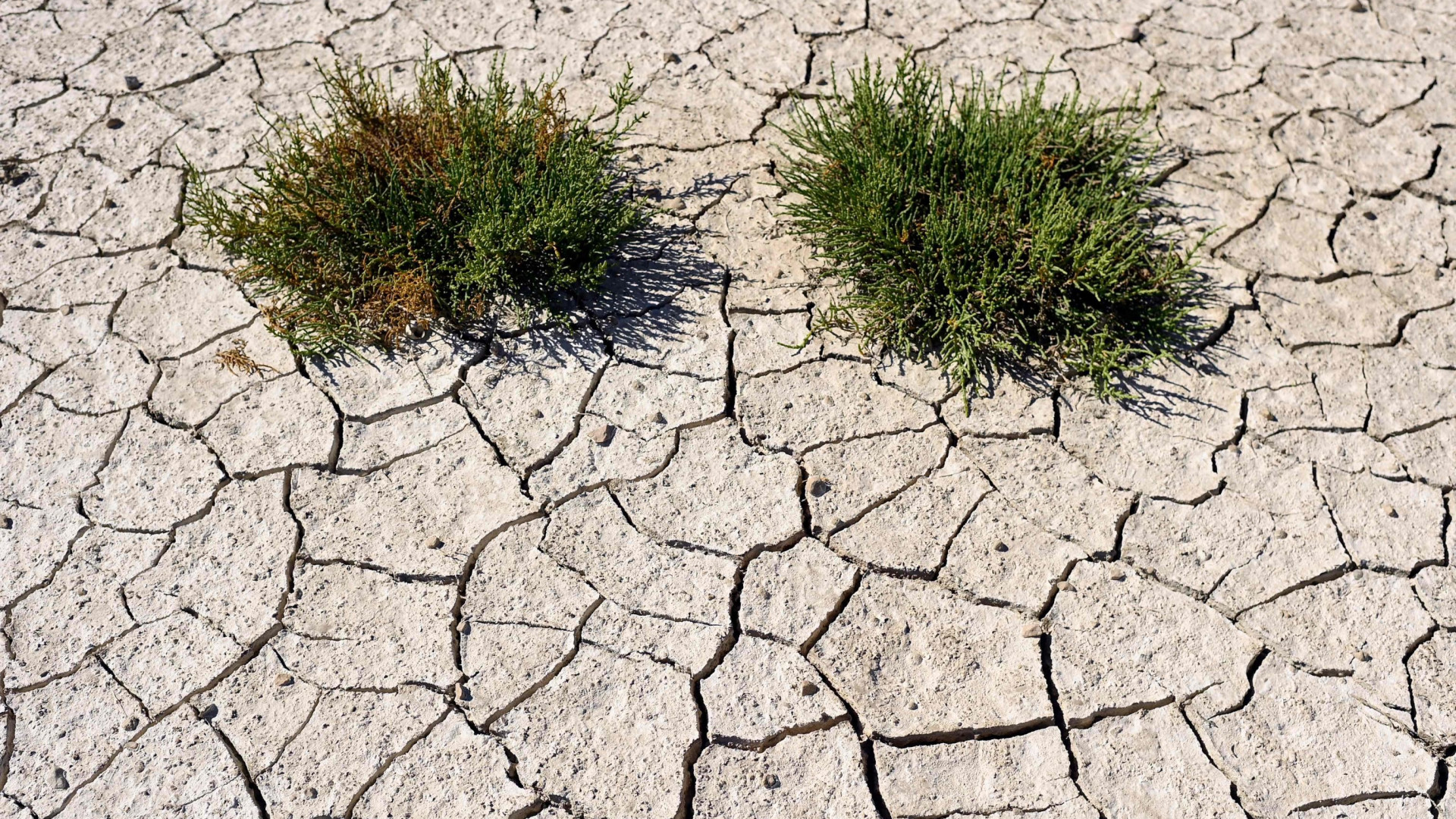 Immagine di Luglio 2023 è il mese più caldo, superato il limite fissato da Parigi