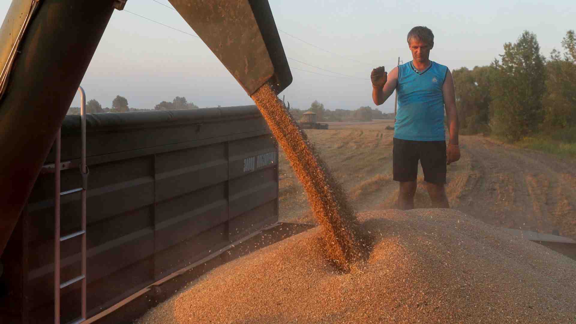Immagine di Mykolaiv, la città del grano è in ginocchio
